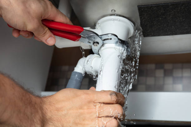 Best Mold removal after water damage  in Hopewell, TN
