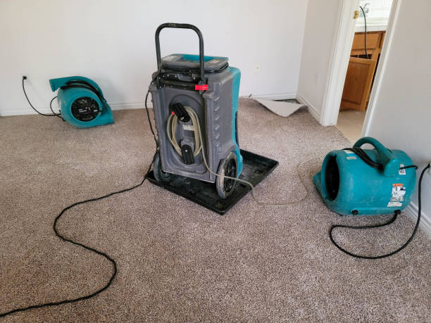 Best Fire Damage Restoration  in Hopewell, TN
