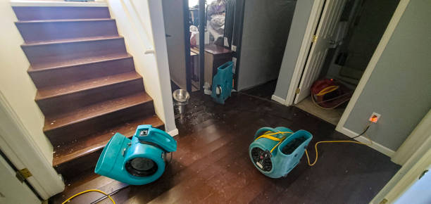 Best Fire Damage Restoration  in Hopewell, TN