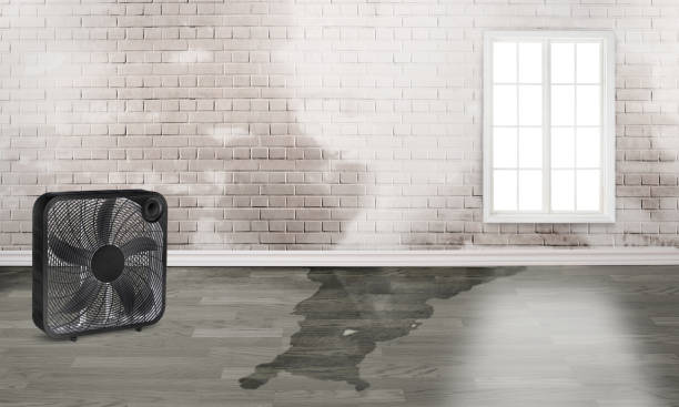 Best 24-hour water damage restoration  in Hopewell, TN