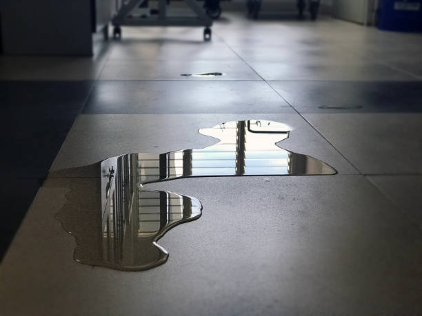 Best Professional water damage repair  in Hopewell, TN