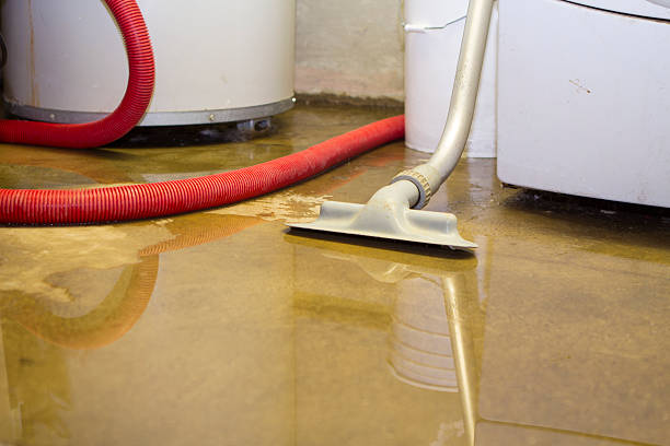 Water damage restoration insurance claims in TN