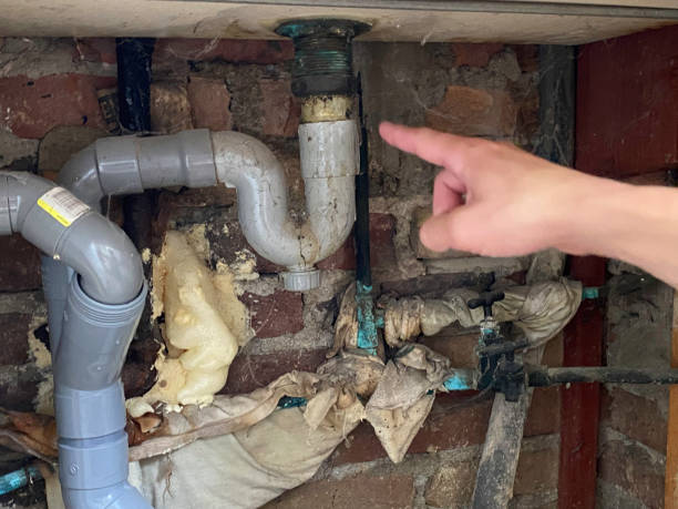 Best Sewage cleanup and water damage restoration  in Hopewell, TN
