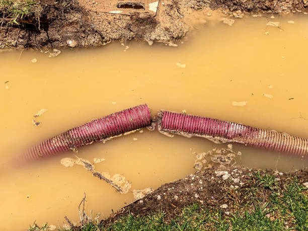 Best 24/7 water damage repair  in Hopewell, TN